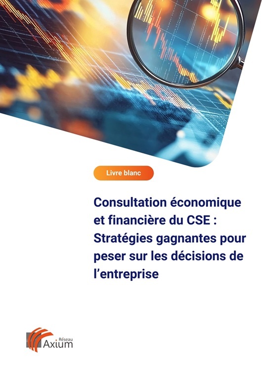 LB consultation economique et financiere cse vignette-1