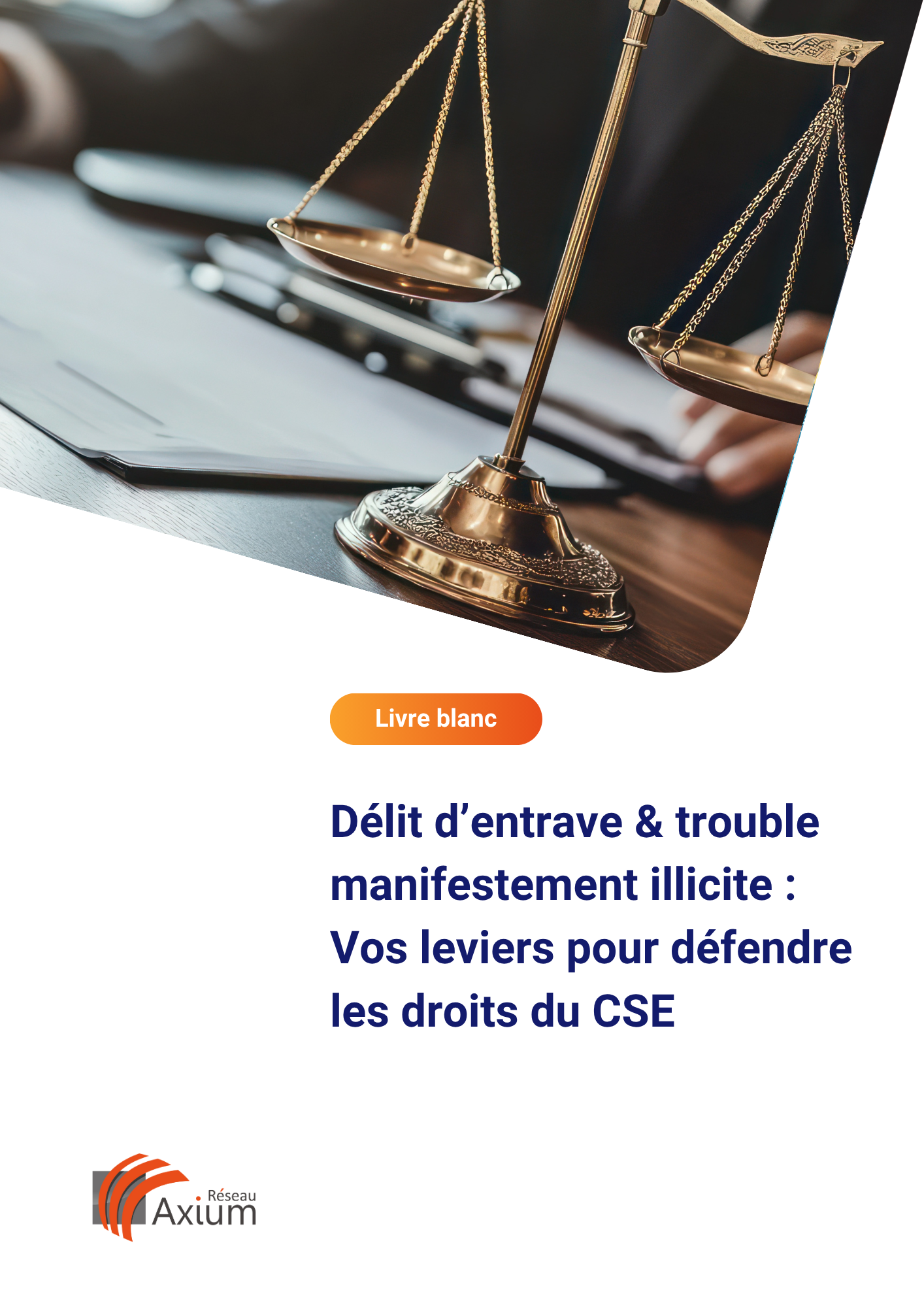 LB délit dentrave et trouble manifestement illicite vignette (1)