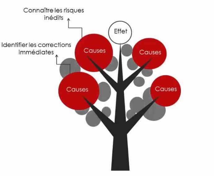 Les bonnes feuilles de l'arbre des causes